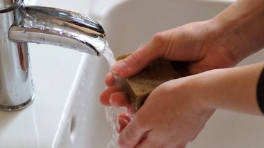 Antibacterial Soap Vs Regular Soap for Hand Washing: Which One is Better For Removing Bacteria and Germs?