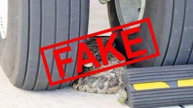 Is the Pic of Python Resting Between the Front Wheel of an Aircraft From Indira Gandhi International Airport amid the Lockdown? Fact Check Behind the Viral Tweet