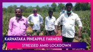 India Under Lockdown: Karnataka Pineapple Farmers Face Trouble In Getting Produce To Market