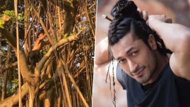 Vidyut Jammwal's New Lockdown Workout Regime Now Involves Climbing a Banyan Tree! (Watch Video)