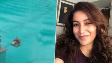 Tisca Chopra Shares Video of Monkeys Having a Pool Party While Humans Quarantine in Their Homes