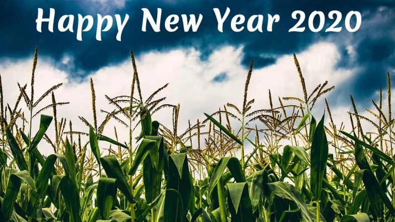Puthandu Vazthukal, Subho Pohela Boishakh, Vishu Ashamsakal, Bohag Bihu and Jur Sital! India Celebrates New Year With Wishes, HD Images, Greetings, Quotes, Messages, & GIFs