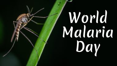 World Malaria Day 2020: FAQs About Anopheles Genus or Marsh Mosquitoes That Are Responsible for Spreading the Vector-Borne Disease