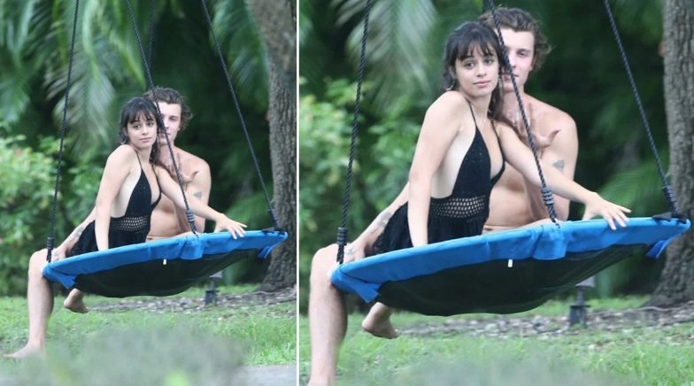Camila Cabello and Shawn Mendes Ditch their Cuddles While Enjoying Swinging Together