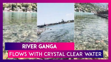 River Ganga Flows With Crystal Clear Water Near Lakshman Jhula At Rishikesh  Amid The Lockdown