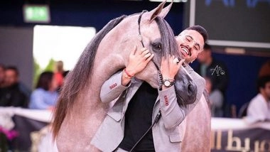 Mohamad AL- Sheikh Suliman: The King of Arabian Horses