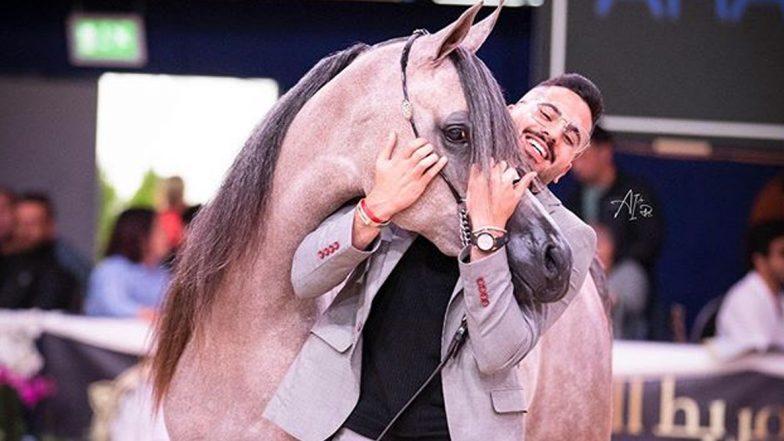Mohamad AL- Sheikh Suliman: The King of Arabian Horses