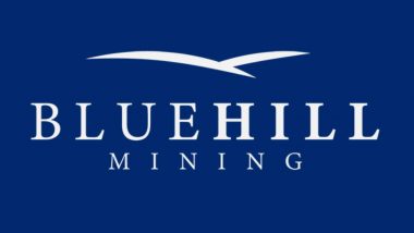 Blue Hill Mining Project, Most Important Next Steps