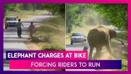 An Elephant Charges At A Bike, Forcing The Two Riders To Run In Horrifying Footage