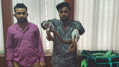 Karnataka: Two Men Try to Sell Valuable Two-Headed Snake Disguised As Delivery Boys for an Online Service in Bengaluru, Arrested