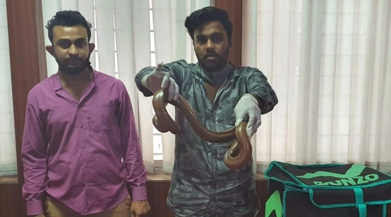 Karnataka: Two Men Try to Sell Valuable Two-Headed Snake Disguised As Delivery Boys Arrested