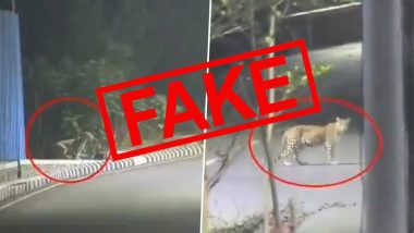 Is the Viral Video of Leopard Roaming on the Roads of Thane Real? Know The Truth Behind the Clip Being Circulated on Social Media