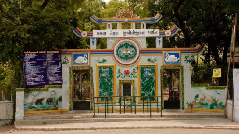 Coronavirus Fears: Animals at Ahmedabad Zoo Barred From Sexual Intercourse, Kept in Separate Cages to Prevent Mating