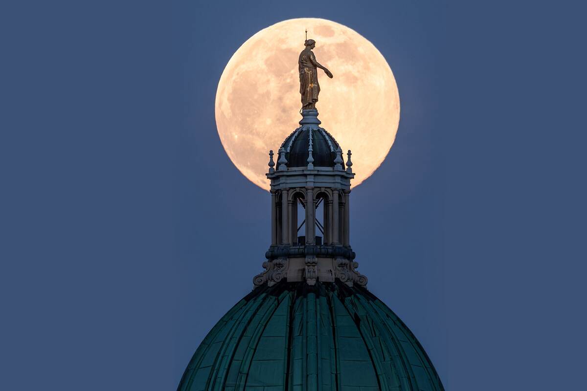 Super Pink Moon makes for a perfect background! Super Pink Moon makes for a perfect background!