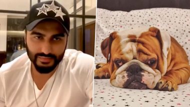 Arjun Kapoor Requests People Not To Abandon Their Pets Fearing COVID-19 Infection (Watch Video)
