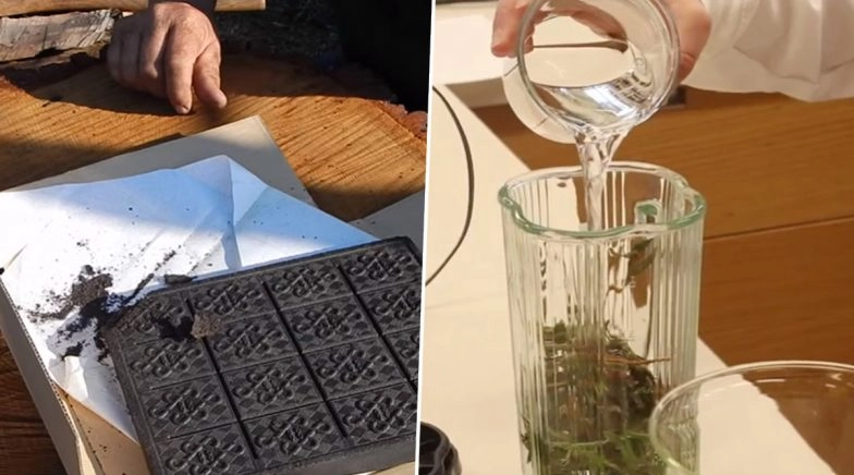 National Tea Day 2020 Special: 5 Weird Kinds of Teas That You Probably Didn't Know Exist