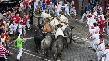 Spain Cancels Bull Running Festival in Northern Town of Pamplona Amid Coronavirus Pandemic