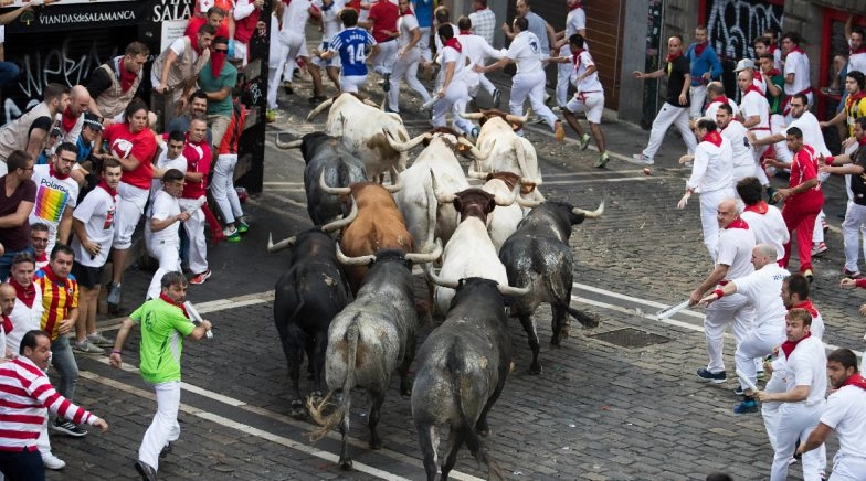 Spain Cancels Bull Running Festival in Northern Town of Pamplona Amid Coronavirus Pandemic