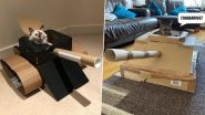 Cat Owners Are Making Cardboard War Tanks For Their Felines During Lockdown! View Pics of Cute 'Meowchines'