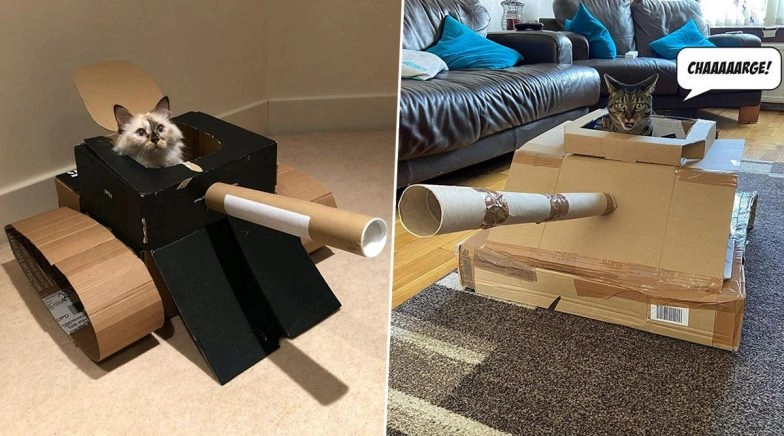 Cat Owners Are Making Cardboard Tanks For Their Felines During Quarantine, View Cute Pics