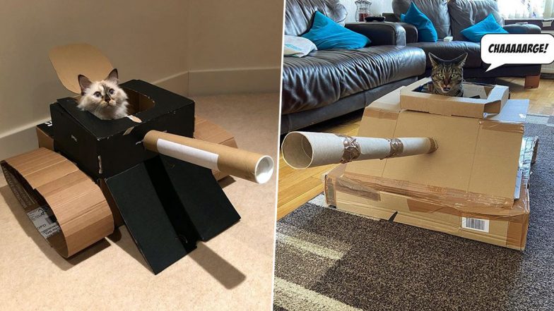 Cat Owners Are Making Cardboard War Tanks For Their Felines During Lockdown! View Pics of Cute 'Meowchines'