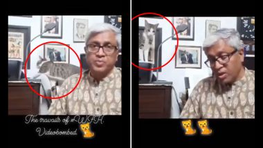 Journalist Ashutosh's Cat Videobombs While He Works From Home, Shares Cute Video of 'Hazards of Working From Home' Amid Lockdown