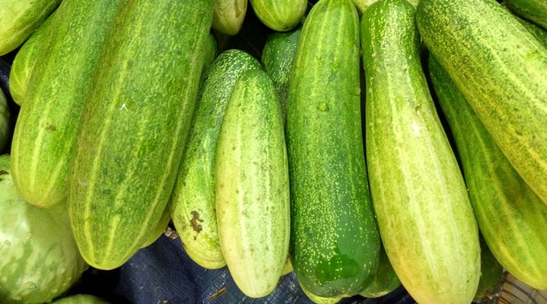 Weight Loss Tip of the Week: How to Eat Cucumber to Lose Weight (Watch Video)
