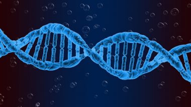 National DNA Day 2020 Date, History and Significance: Celebrating the Completion of the Human Genome Project and Discovery of The Double Helix