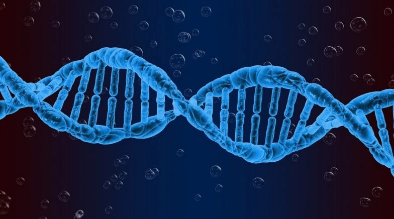 National DNA Day 2020: Date History and Significance of the Day Celebrated on April 25