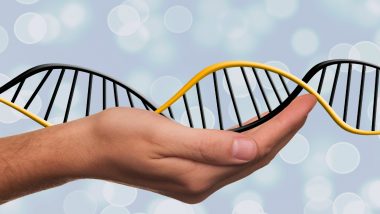 DNA Day 2020: Fascinating Facts on Deoxyribonucleic Acid (DNA) That Contains Our Unique Genetic Code Will Make You Think Hard