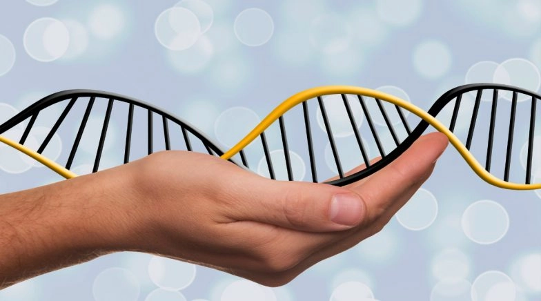 DNA Day 2020: Fascinating Facts on Deoxyribonucleic Acid (DNA) That Contains Our Unique Genetic Code