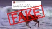 Fact Check: Deer Spotted Playing on Chandrabhaga Beach or Konark Puri Marine Drive in Odisha Amid Lockdown? Know Truth About This Viral Video