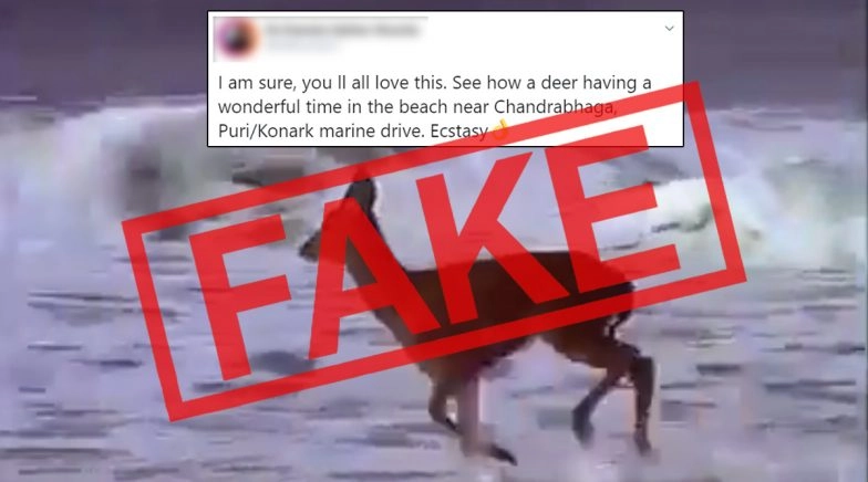 Deer Spotted Playing on Odisha's Puri Beach? Know Truth About Viral Video 