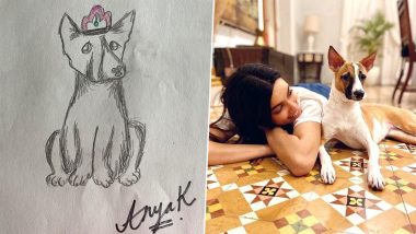 Diana Penty Donates For Farah Khan's Daughter Anya's Cause For Stray Animals (View Adorable Pics)