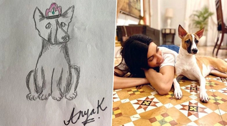 Diana Penty Donates For Farah Khan's Daughter Anya's Cause