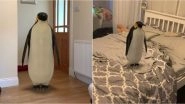 World Penguin Day 2020: View Emperor Penguin in Google 3D Animals Feature And Get The Tallest & Heaviest Penguin Home During Quarantine