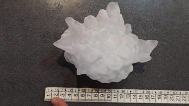 ‘Gargantuan Hail’, That Fell During ‘Supercell’ Thunderstorm in Argentina, Found to be World’s Largest Hailstone (View Pics)