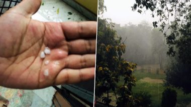 Delhi-NCR Witnesses Sudden Spell Of Rainfall Followed By Hailstorm; View Pics