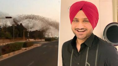 Harbhajan Singh Shares Incredible Video of Large Flock of Birds Flying, ‘Birds Are Enjoying in Pollution-Free Environment’, Says Veteran Indian Off-Spinner