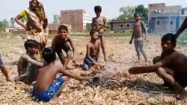 Jehanabad DM Denies Food Shortage After Video of Kids Eating Frogs Sparks Uproar in Bihar, Calls It Propaganda
