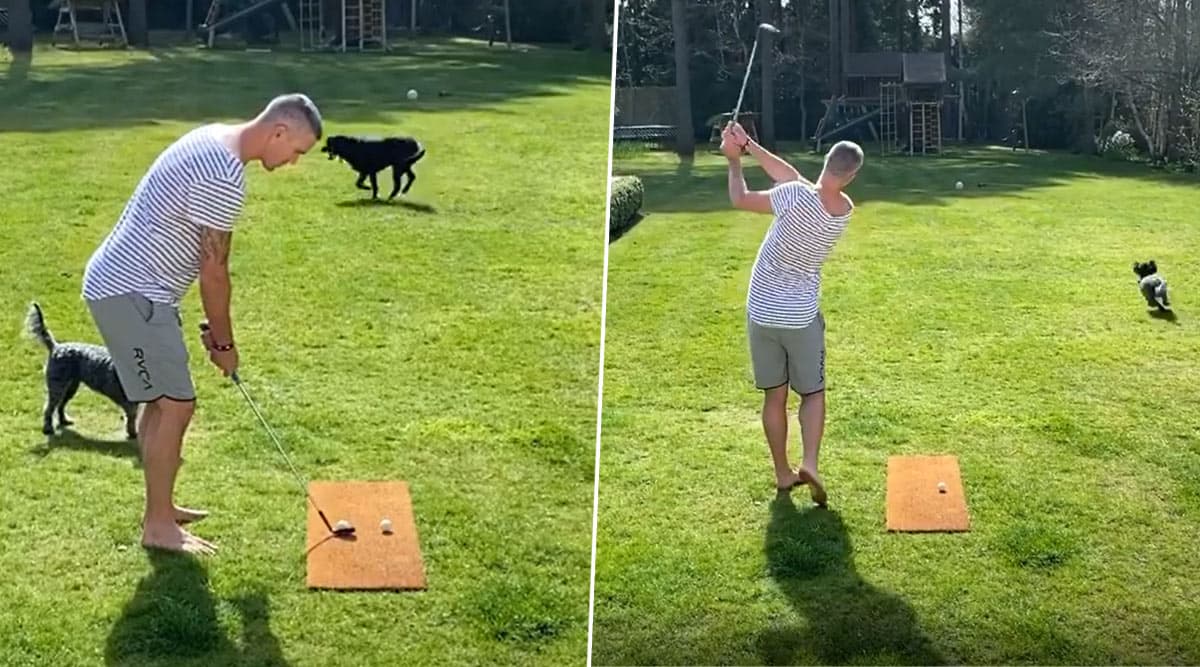 Kevin Pietersen Plays Golf With His Pet Dogs Amid COVID-19 Lockdown (Watch Video) Kevin Pietersen Plays Golf With His Pet Dogs Amid COVID-19 Lockdown (Watch Video)