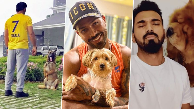 From MS Dhoni to Hardik Pandya and KL Rahul, 5 Star Cricketers Who Also Happen to Be Most Amazing Dog Parents!