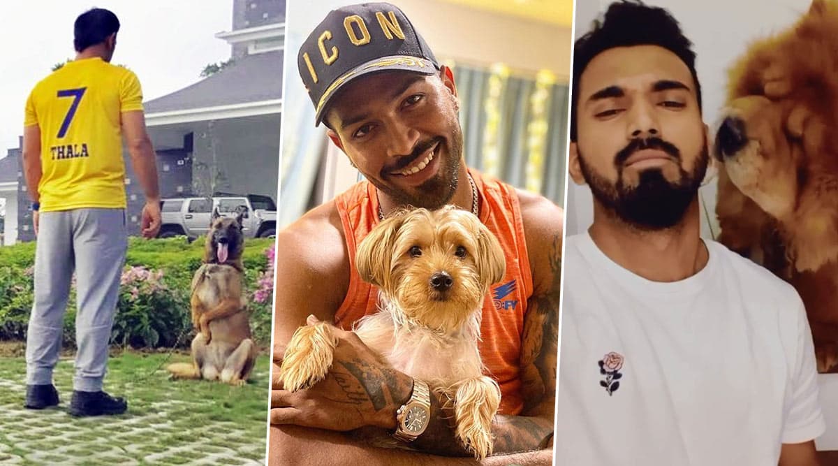 From Ms Dhoni To Hardik Pandya And Kl Rahul 5 Star Cricketers Who Also Happen To Be Most Amazing Dog Parents Latestly