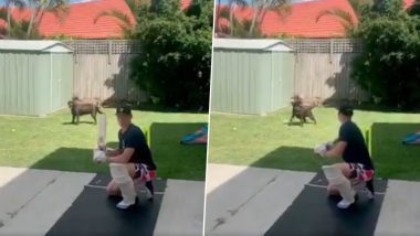 Marnus Labuschagne Joins the 'Cricket With Pet' Bandwagon With Kane Williamson and Shreyas Iyer, Shares Video of His Pet Dog Taking an Amazing Slip Catch