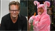 Matthew Perry Wishes Fans on Easter With a Fitting Chandler Bing Video from Friends and Yes It's the One With the Pink Bunny Costume!