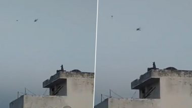 Monkey Spotted Flying Kite on Top of Building in Video Going Viral Amid Lockdown