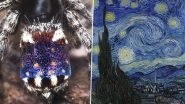 New Species of Peacock Spiders Resembling Vincent van Gogh&rsquo;s Masterpiece 'Starry Night' Discovered in Australia (Watch Video)