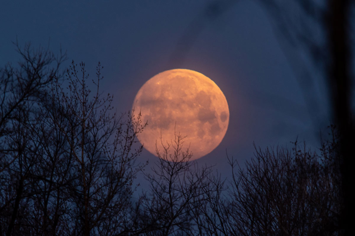 Pink Super Moon 2020 Photos: Pictures Capture The Mesmerising Celestial ...