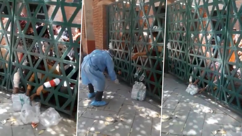 Agra DM Says 'Gaps Fixed' After Video Shows Healthcare Workers Throwing Food Towards Inmates Scrambled Behind a Gate at SGI Quarantine Centre