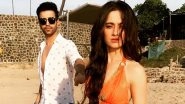 Did Sanjeeda Shaikh Not Inform Aamir Ali About Ending Things Between Them Before Moving to Her Mother&rsquo;s Place? Find Out